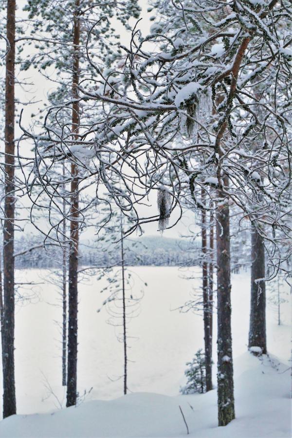 Konttaisenranta Chalet