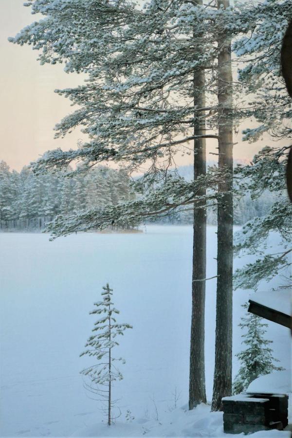 Konttaisenranta Chalet *